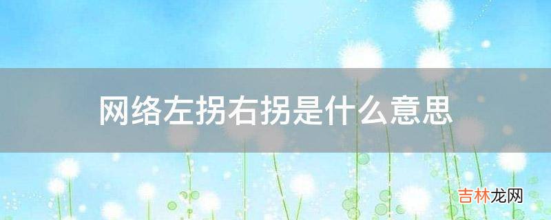 网络左拐右拐是什么意思