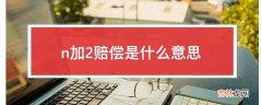 n加2赔偿是什么意思