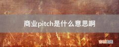 商业pitch是什么意思啊