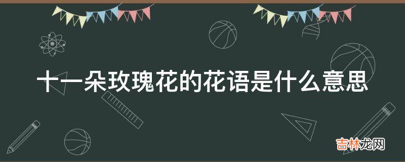 十一朵玫瑰花的花语是什么意思