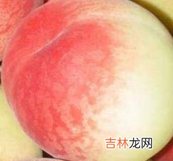 怎么晒桃干才不黑