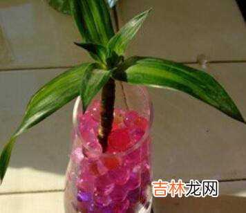 硼砂粉怎么做?