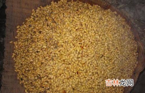 河南酱豆子怎么做老式做法