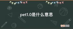 pet1.0是什么意思