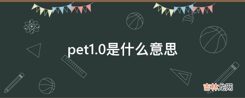 pet1.0是什么意思