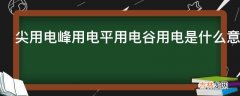 尖用电峰用电平用电谷用电是什么意思