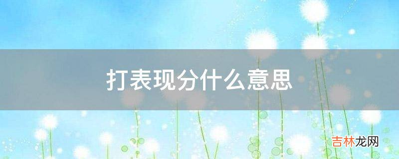 打表现分什么意思