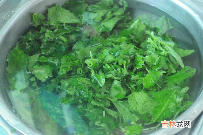 南瓜叶怎么炒好吃
