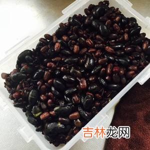 破壁机如何打豆浆