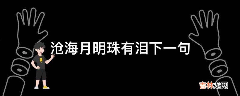 沧海月明珠有泪下一句