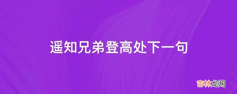 遥知兄弟登高处下一句