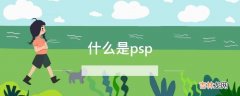 什么是psp