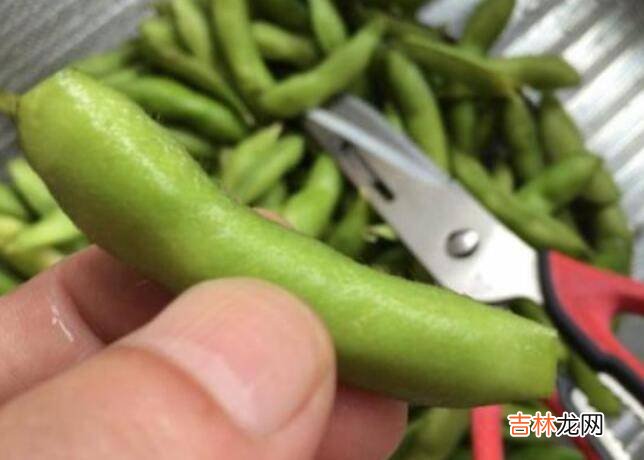 毛豆煮熟后怎么保存