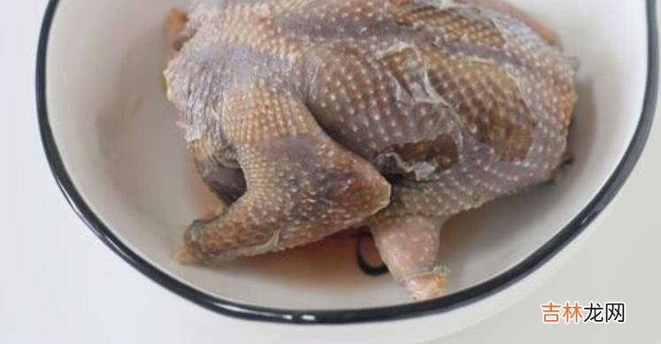 春天鸽子汤怎么炖最营养
