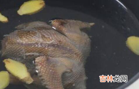 春天鸽子汤怎么炖最营养
