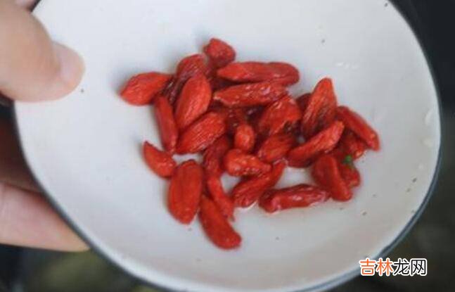 春天鸽子汤怎么炖最营养