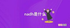 nadh是什么