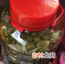 青葡萄可以酿葡萄酒吗