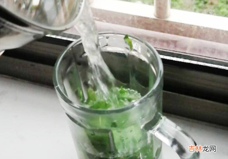 蒲公英如何泡水