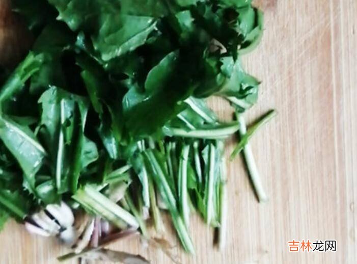 蒲公英如何泡水