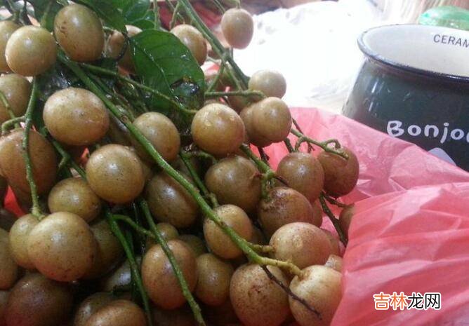 黄皮果泡水的方法