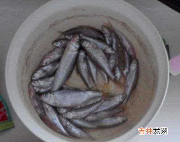 溪鱼怎么做好吃