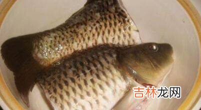 鲤鱼汤怎么做