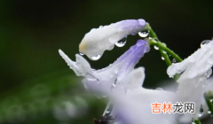 2023年?8月份长白山是雨季吗