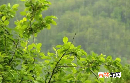 2021年7月23日有没有下雨 2023年7月雨水多吗