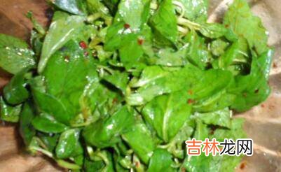薄荷怎么吃凉拌