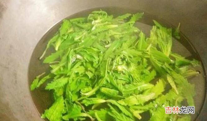 野菜青青菜的吃法