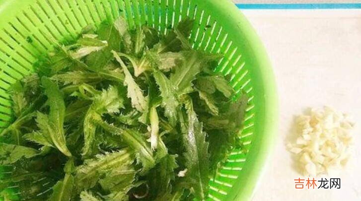 野菜青青菜的吃法