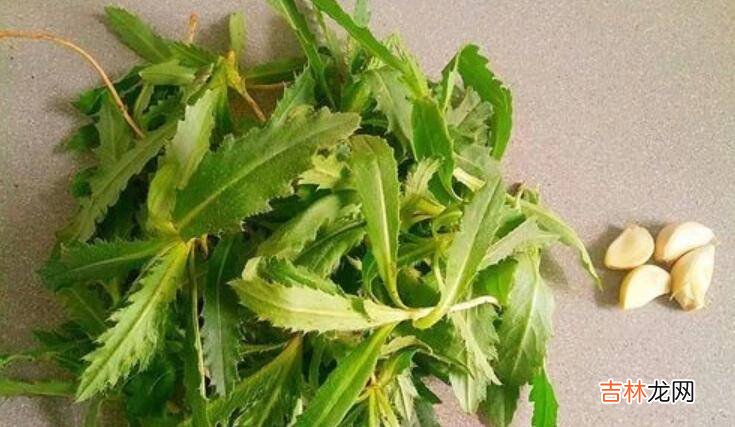 野菜青青菜的吃法