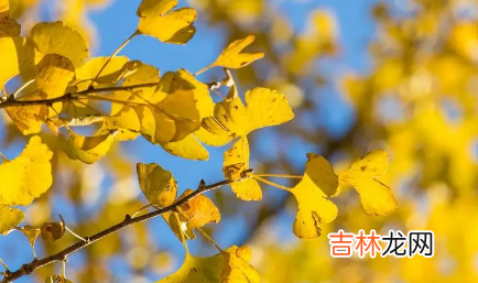 2023年秋季南方会干旱吗知乎 2023年秋季南方会干旱吗