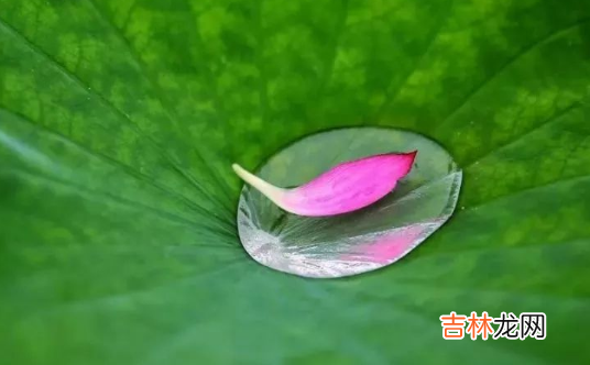 2022年一伏二伏三伏的时间 2023年一伏二伏三伏是哪天