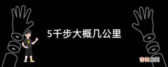 5千步大概几公里