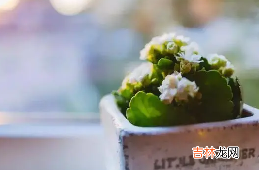 2023年七月 2023年7月有什么节日和纪念日