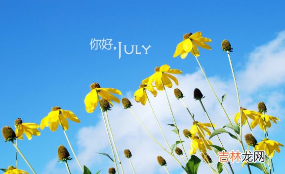 2020年7月热还是8月热 2023年7月热还是8月热