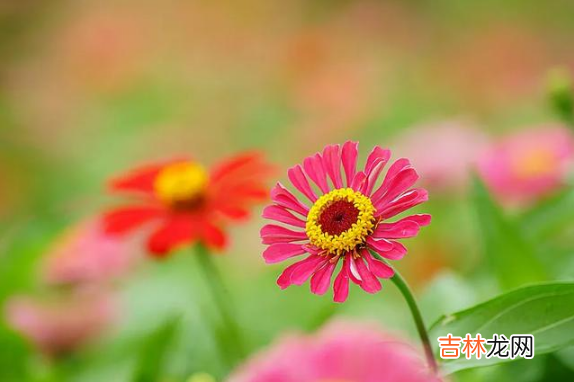 2023年7月日历表 2023年7月有什么法定节假日