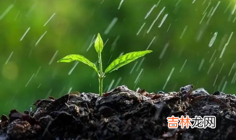 芒种会不会下雨 2023年芒种过后雨水会变多吗