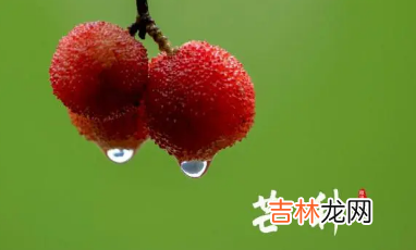 2021芒种会下雨吗 2023年芒种下雨是旱还是涝