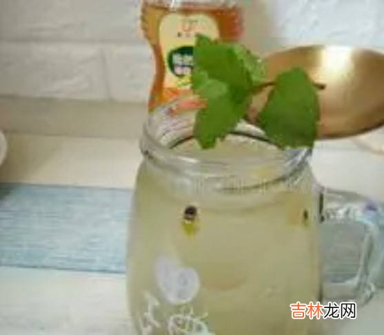 百香果薄荷蜂蜜水做法