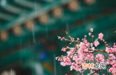 雨水节气是几月几日几点几分 雨水节气几点到2023