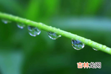 雨水节气是几月几日几点几分 雨水节气几点到2023
