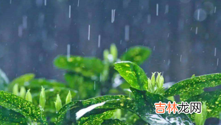 2021年雨水节气的含义是什么意思 雨水节气是几九了2023