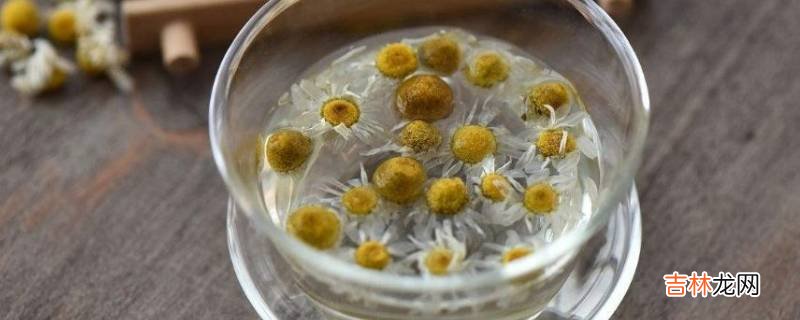 来月经能喝菊花茶吗