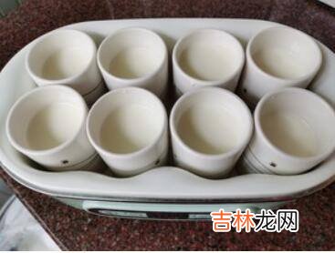 自制酸奶比例