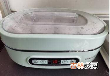 自制酸奶比例