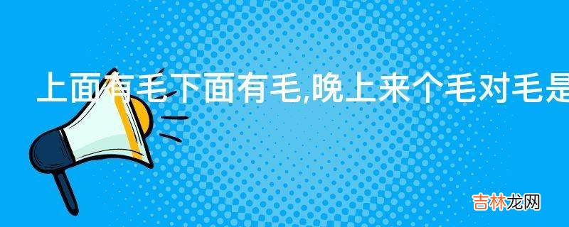 上面有毛下面有毛,晚上来个毛对毛是什么