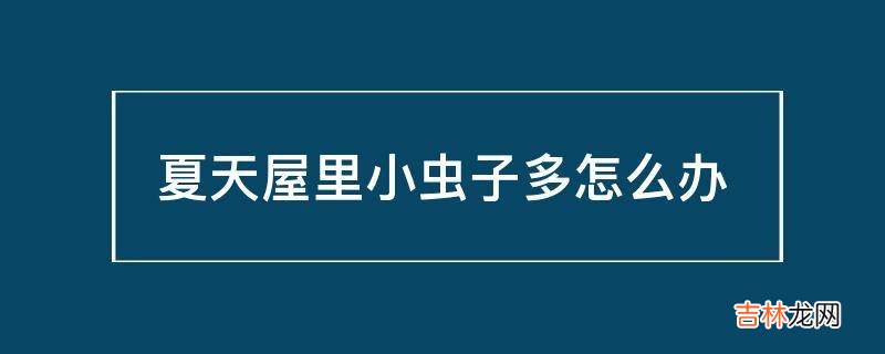 夏天屋里小虫子多怎么办